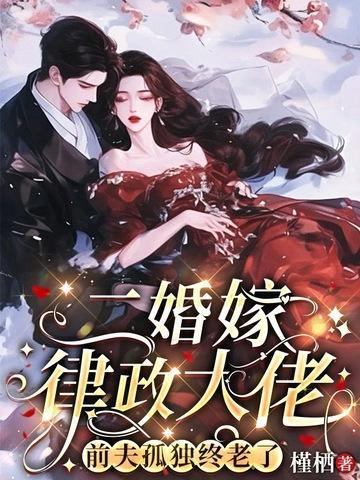 二婚嫁律政大佬，前夫孤独终老了封面