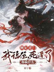 侧妃进门我让位，死遁了你疯什么封面