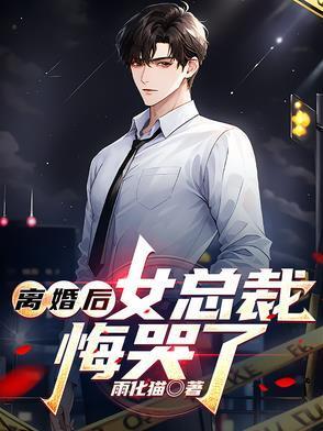 离婚后，女总裁悔哭了封面