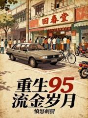 重生95流金岁月封面