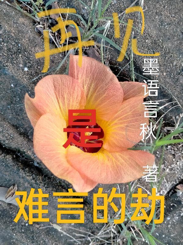 再见是难言的劫封面