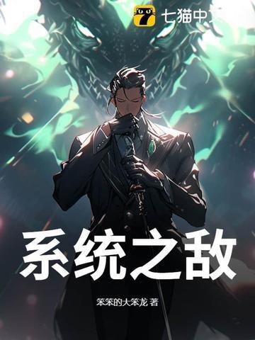 系统之敌封面
