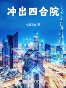 冲出四合院封面