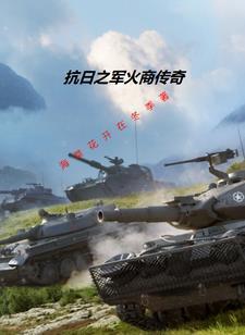 我在抗日卖军火封面