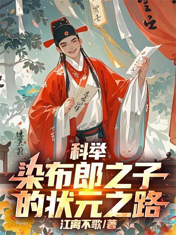 科举：染布郎之子的状元之路封面
