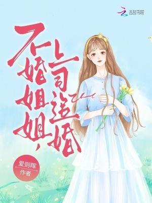 不婚姐姐，上司追婚封面