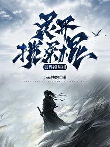 灵界搅屎棍封面