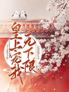 皇上宠我无下限封面
