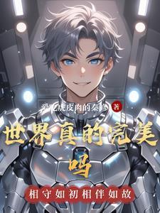 世界真的完美吗封面