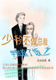 少爷不做总裁学做起了饭2封面