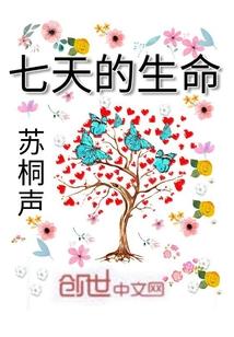 宋莲文天小说封面