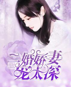 蓝小棠时佩林封面