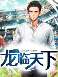 龙临天下封面
