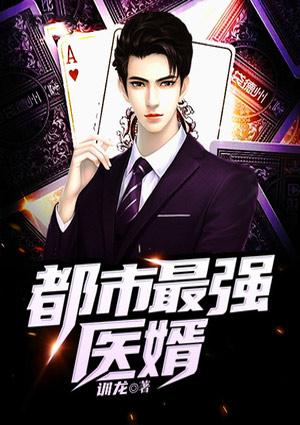 秦明苏晨晨封面