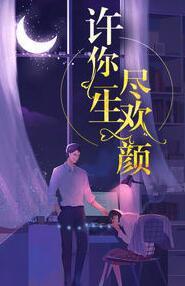 许你一生尽欢颜封面