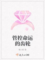 顾茗烟段承轩封面