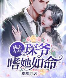 程澄赵其琛封面