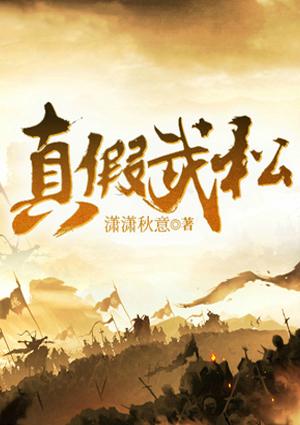 西门庆小翠封面