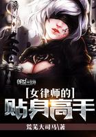 苏鸾月景墨小说封面