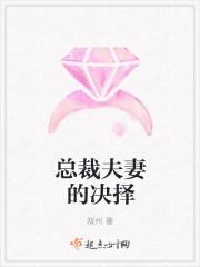 独留清风醉楚芸萧齐煜封面