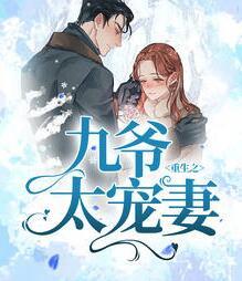 沈未晚傅九叶封面