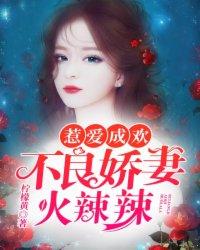 江心霍垣免费阅读全文封面