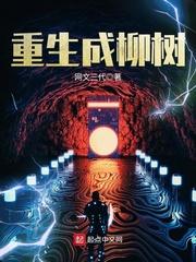 苏粟宝的小说封面