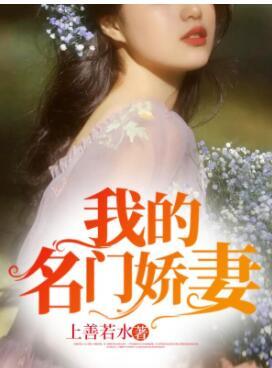 我的绝美小娇妻免龙禹封面