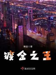 江棠棠陆时晏小说封面