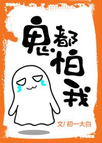 星星的怀抱宋芸芸陆辞野封面