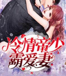 璧恋之焚天大业封面