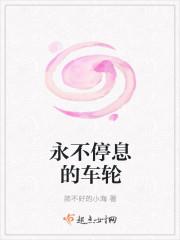 胡式微简笙封面