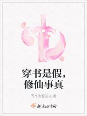 一梦如初宝银小说免费阅读封面