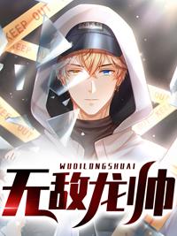 无敌龙帅封面