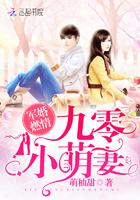 笙笙留不住小说封面