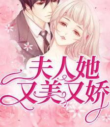 顾易柠傅寒年封面