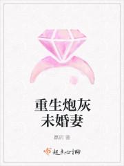 沈从安叶清清全文免费阅读封面