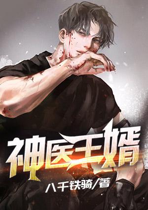 神医王婿封面
