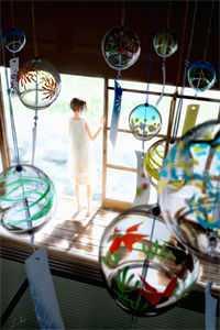 凤倾九重素婉小说在线阅读封面