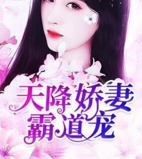 天降娇妻霸道宠免费阅温言读封面