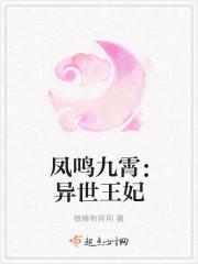 苏安宁季衍小说名字封面