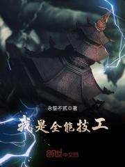 封行朗林雪落不眠之夜封面