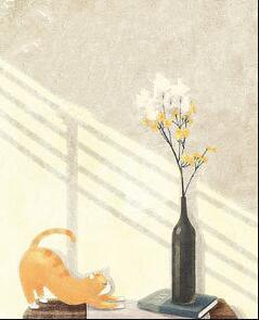 纵使悲凉也是情封面