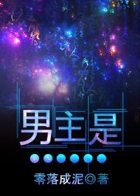 苏晚夏沈斯言小说免费阅读封面