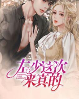 许呦左修霖全文阅读封面