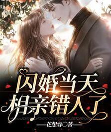 闪婚当天相亲错人了小说封面