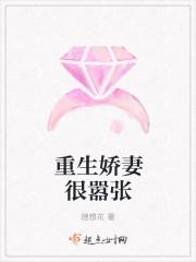 逍遥小贵婿李辰安宁楚楚封面