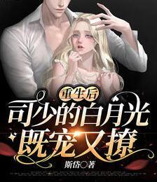 洛南一司墨裴是哪部小说的主角封面