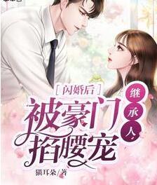 温恬恬厉啸风封面