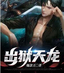 出狱天龙小说封面